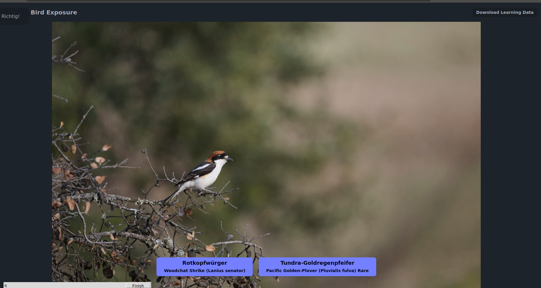 Pasted image 20250202103949.png